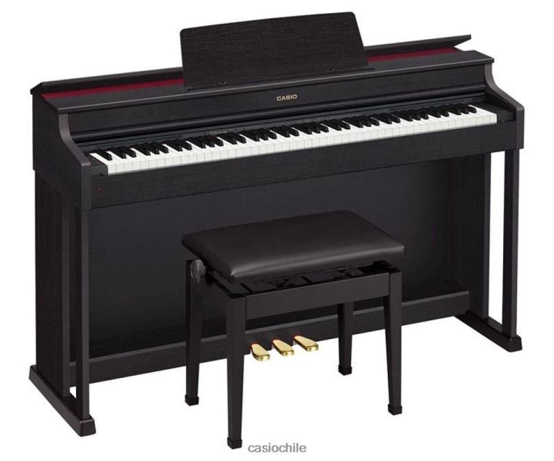 casio_ap_470bk_4866j997_accesorio.jpg Casio ap-470bk 4866J997 accesorio - Image 1