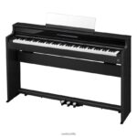 Casio ap-s450bk 4866J990 accesorio