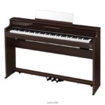 Casio ap-s450bn 4866J991 accesorio