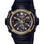 Casio awgm100sbg-1a 4866J358 accesorio