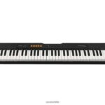 Casio ct-s100 4866J957 accesorio