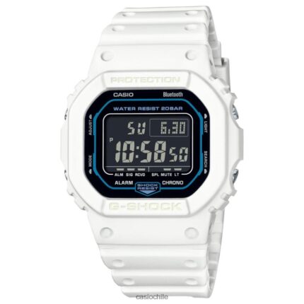 Casio dwb5600sf-7 4866J100 accesorio