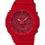 Casio ga2100-4a 4866J314 accesorio