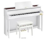 Casio gp-310we 4866J995 accesorio