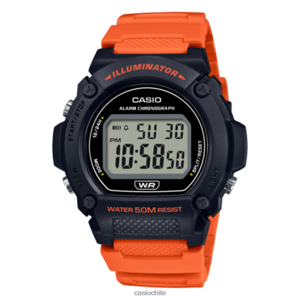 Casio w219h-4av 4866J610 accesorio