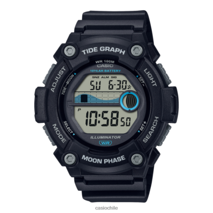 Casio ws1300h-1av 4866J611 accesorio