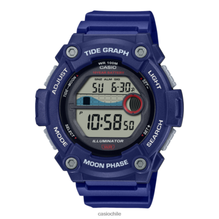 Casio ws1300h-2av 4866J612 accesorio