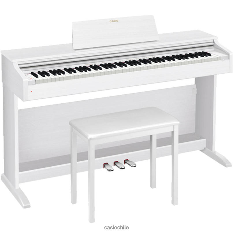 Casio ap-270we 4866J1001 accesorio