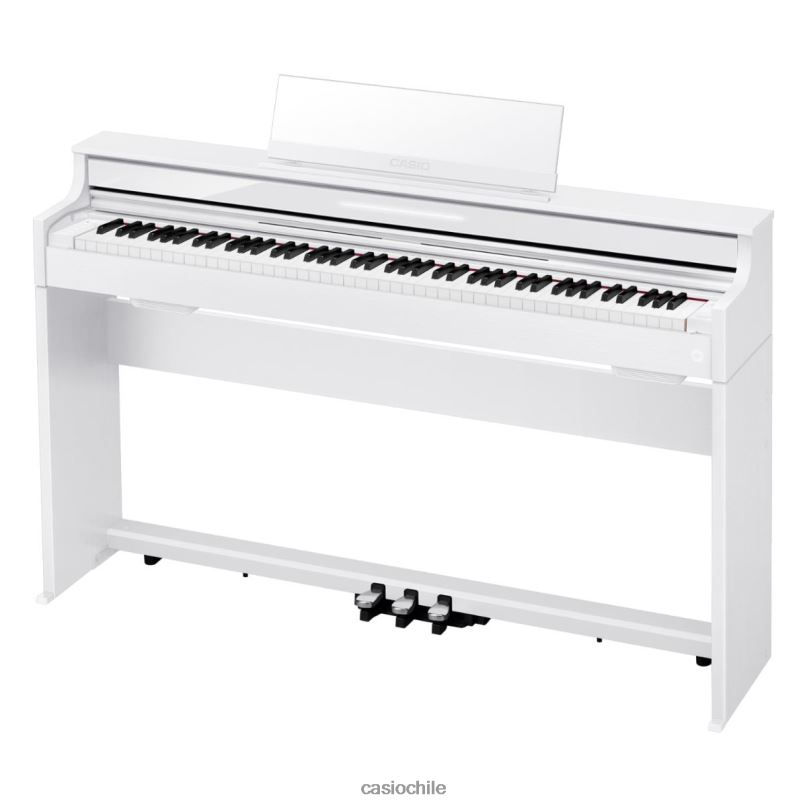 Casio ap-s450we 4866J992 accesorio