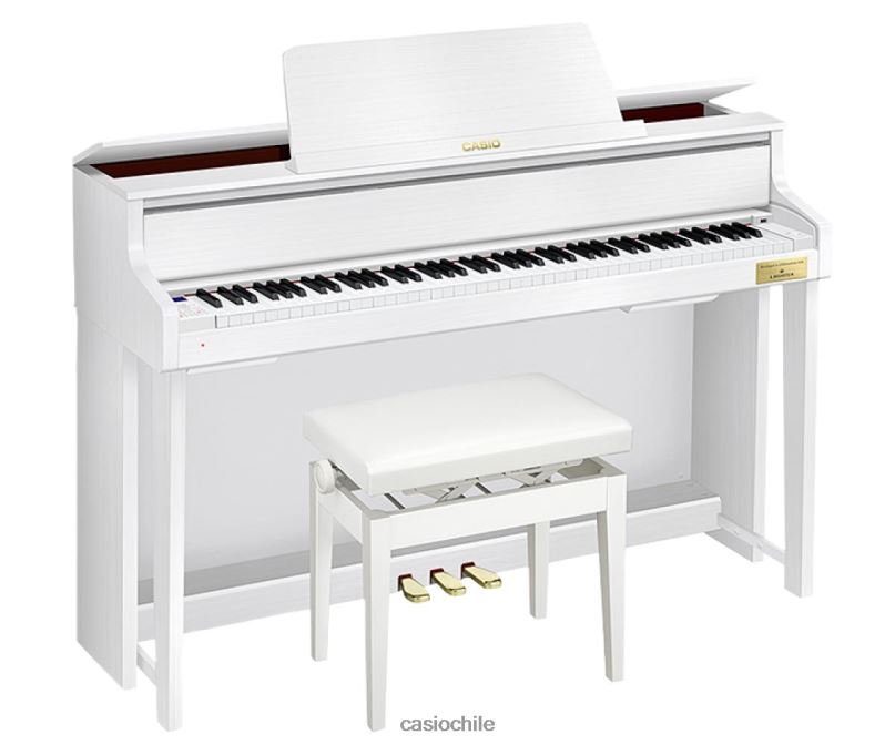 Casio gp-310we 4866J995 accesorio