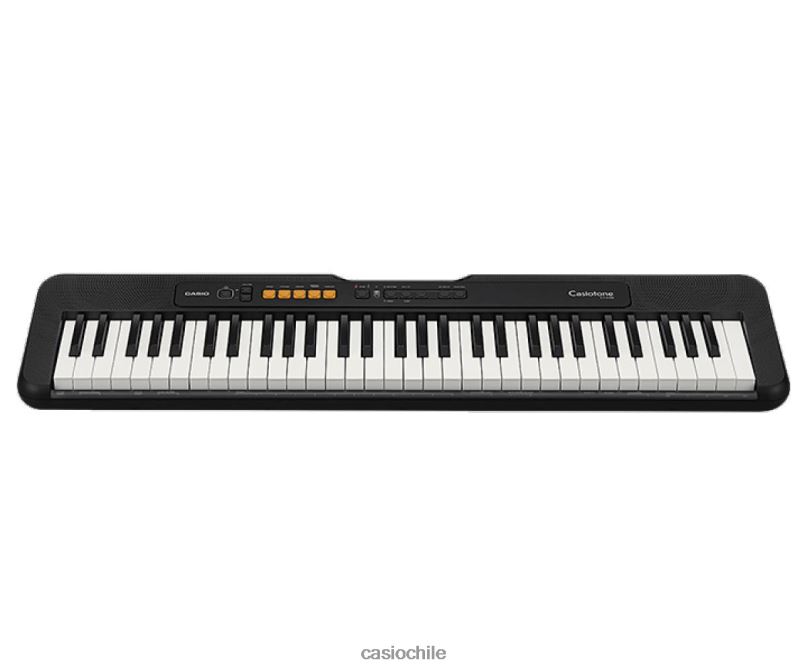 Casio ct-s100 4866J957 accesorio