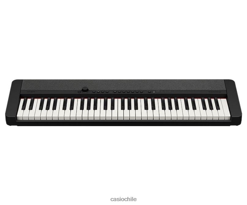 Casio ct-s1bk 4866J951 accesorio