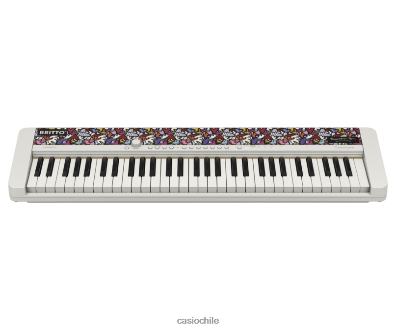 Casio ct-s1fh 4866J949 accesorio