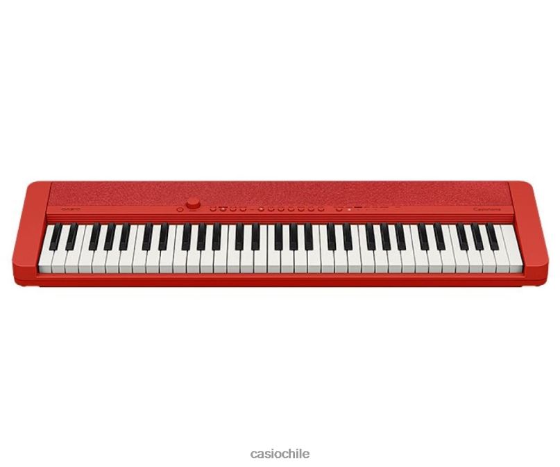 Casio ct-s1rd 4866J952 accesorio