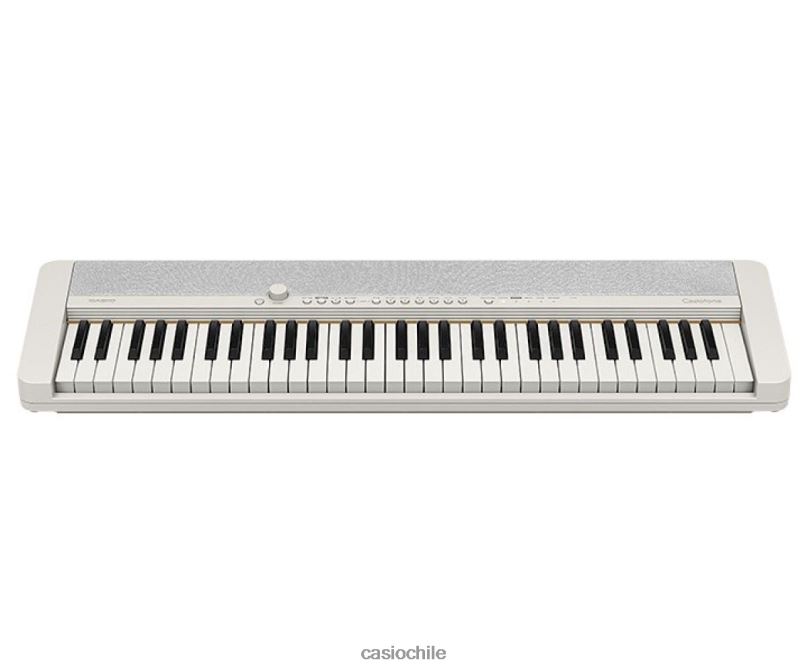 Casio ct-s1we 4866J950 accesorio