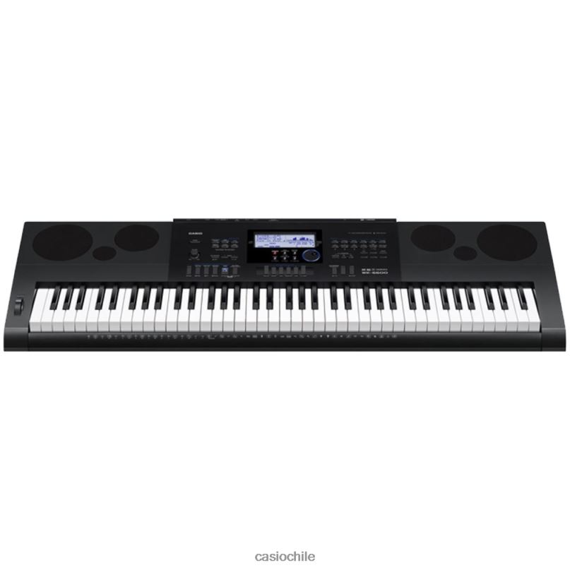 Casio wk-6600 4866J960 accesorio