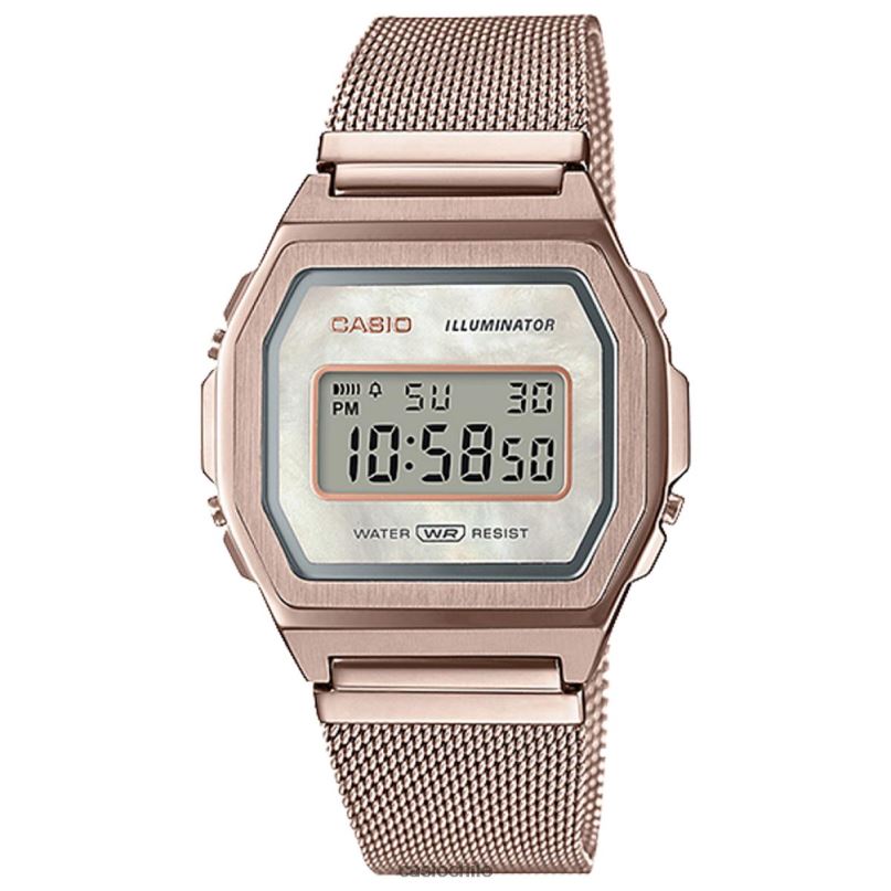 Casio a1000mcg-9vt 4866J643 accesorio