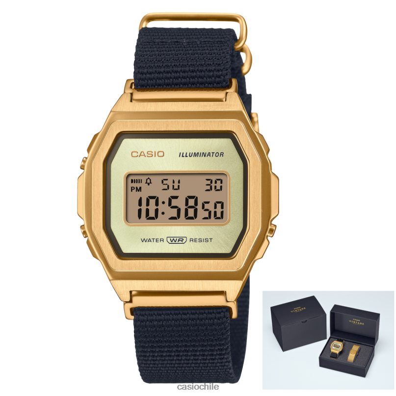 Casio a1000mgn-9 4866J580 accesorio