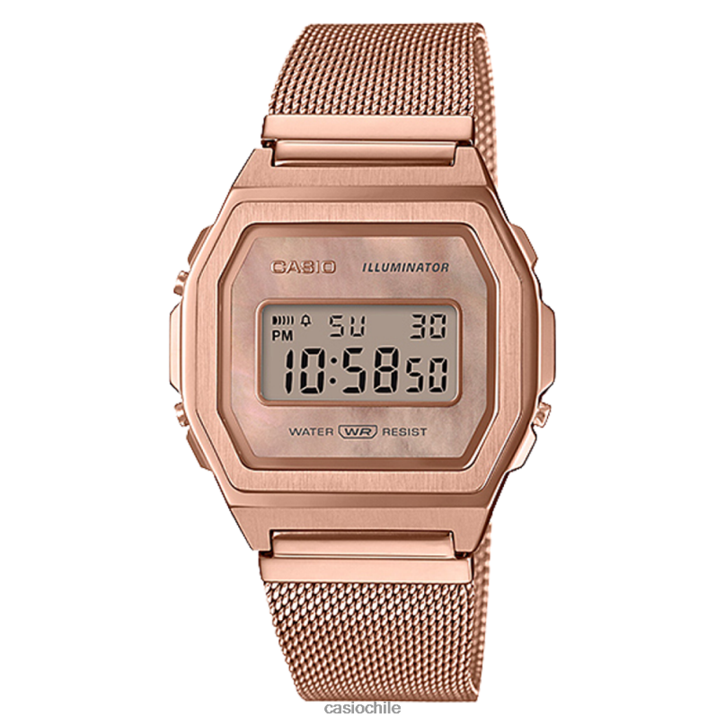 Casio a1000mpg-9vt 4866J644 accesorio