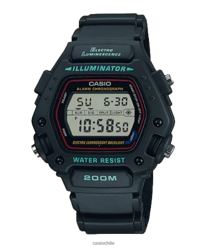 Casio dw290-1v 4866J875 accesorio