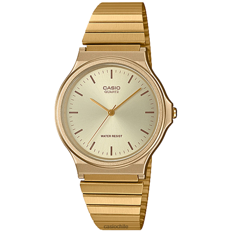 Casio mq24g-9e 4866J669 accesorio