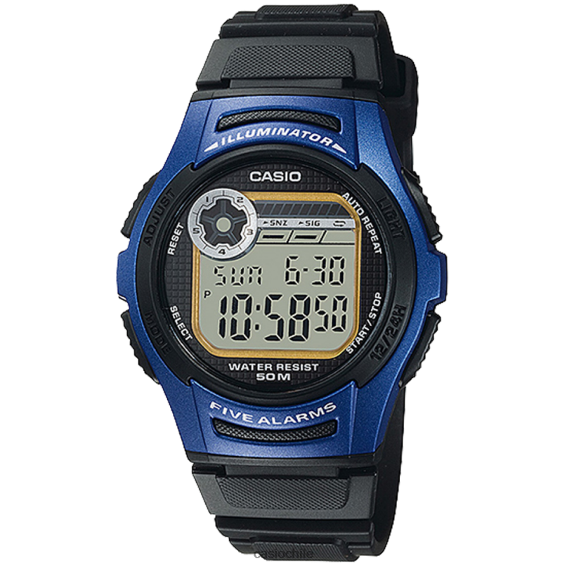 Casio w213-2av 4866J783 accesorio