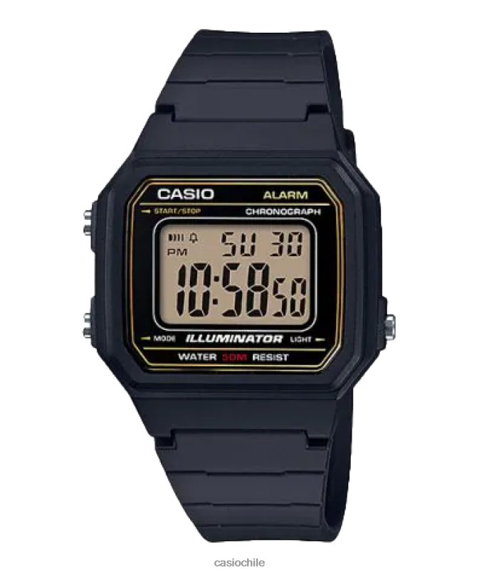 Casio w217h-9av 4866J884 accesorio