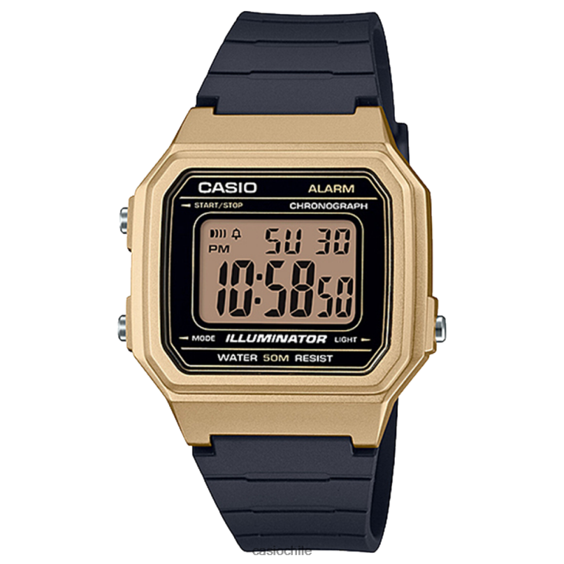 Casio w217hm-9av 4866J663 accesorio