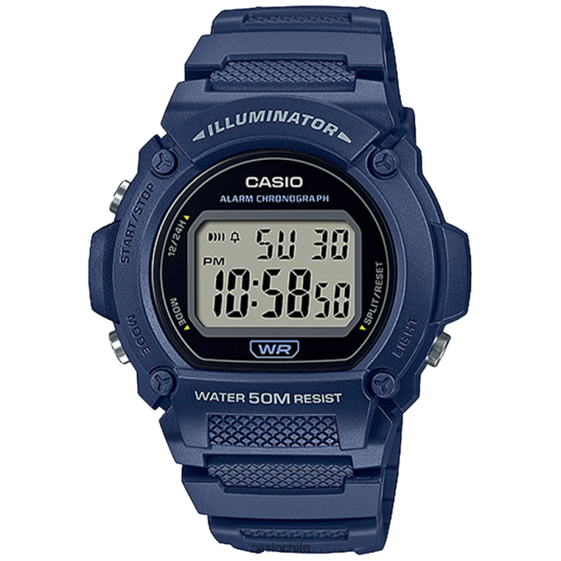 Casio w219h-2av 4866J634 accesorio
