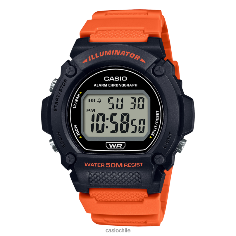 Casio w219h-4av 4866J610 accesorio