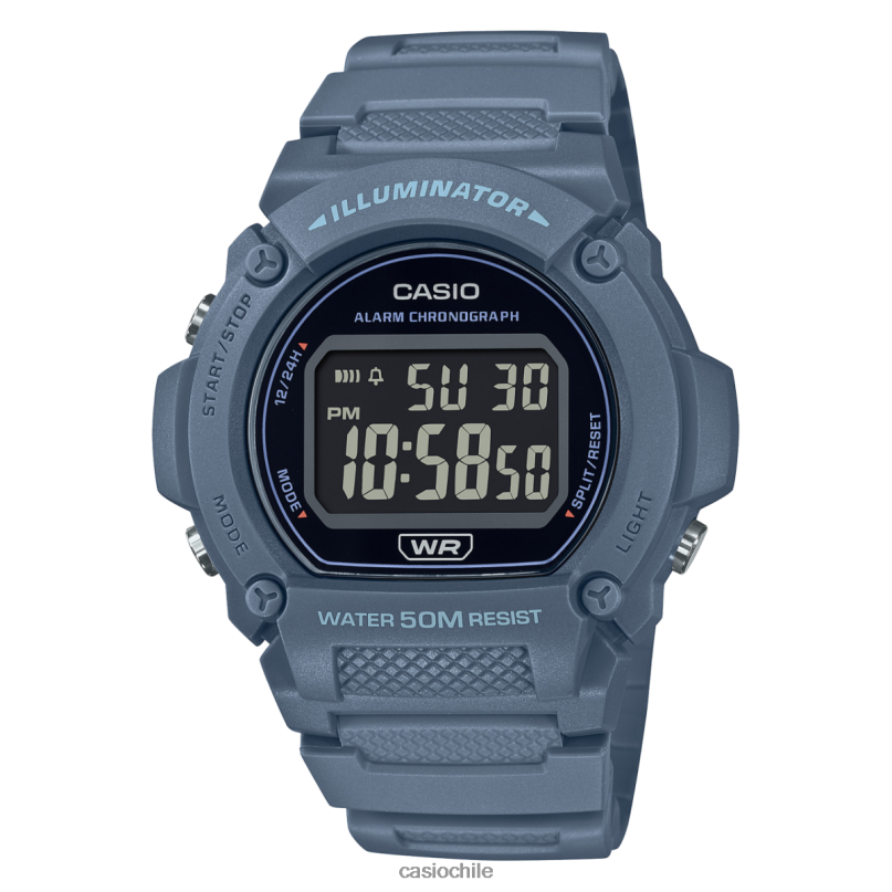 Casio w219hc-2bv 4866J535 accesorio