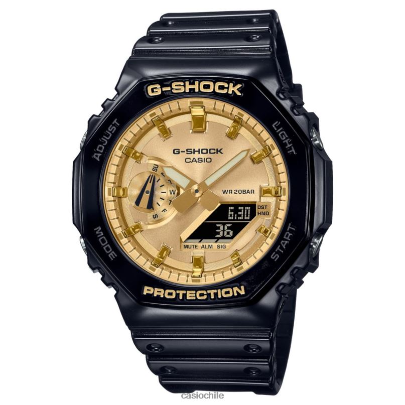 Casio ga2100gb-1a 4866J83 accesorio
