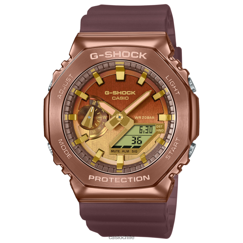 Casio gm2100cl-5a 4866J103 accesorio